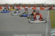 _DSC4431 copie